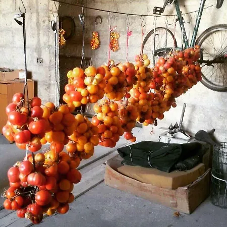 Viadellerose Nyaraló